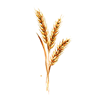 Wheat protein